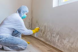 Professional Mold Removal & Remediation in Mena, AR